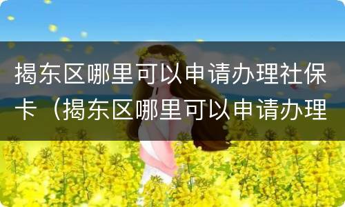 揭东区哪里可以申请办理社保卡（揭东区哪里可以申请办理社保卡的）