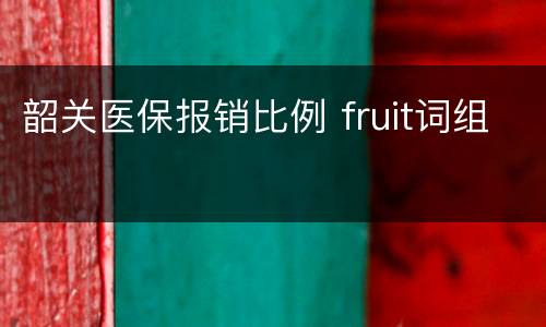 韶关医保报销比例 fruit词组