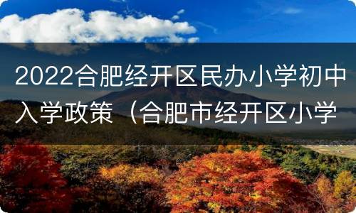 2022合肥经开区民办小学初中入学政策（合肥市经开区小学招生政策）