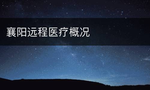 襄阳远程医疗概况