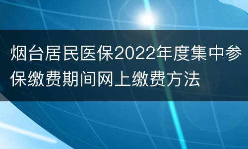 烟台居民医保2022年度集中参保缴费期间网上缴费方法