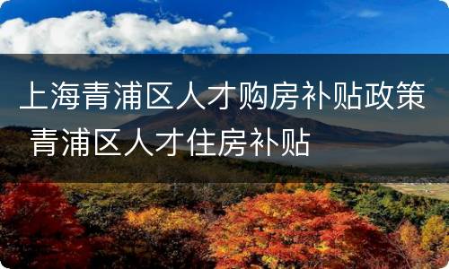 上海青浦区人才购房补贴政策 青浦区人才住房补贴