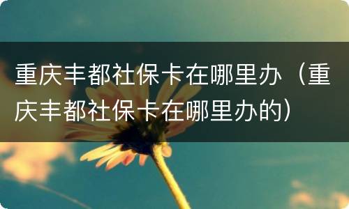 重庆丰都社保卡在哪里办（重庆丰都社保卡在哪里办的）