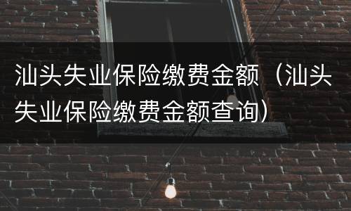 汕头失业保险缴费金额（汕头失业保险缴费金额查询）