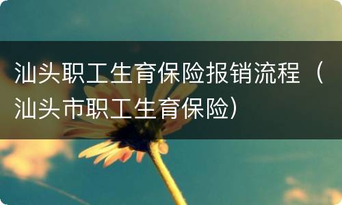汕头职工生育保险报销流程（汕头市职工生育保险）