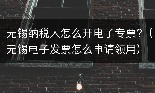 无锡纳税人怎么开电子专票?（无锡电子发票怎么申请领用）