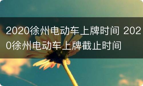 2020徐州电动车上牌时间 2020徐州电动车上牌截止时间