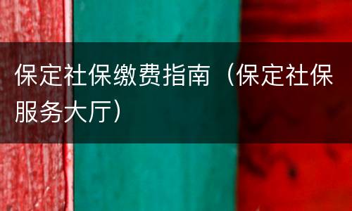 保定社保缴费指南（保定社保服务大厅）