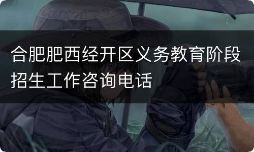 合肥肥西经开区义务教育阶段招生工作咨询电话