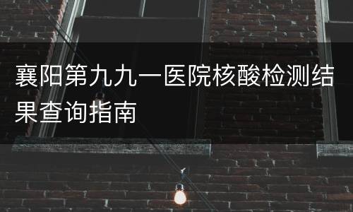 襄阳第九九一医院核酸检测结果查询指南