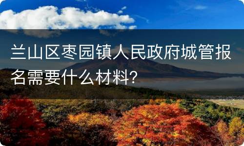 兰山区枣园镇人民政府城管报名需要什么材料？