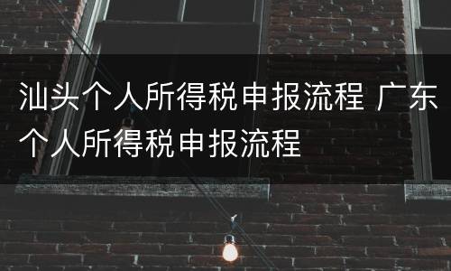 汕头个人所得税申报流程 广东个人所得税申报流程