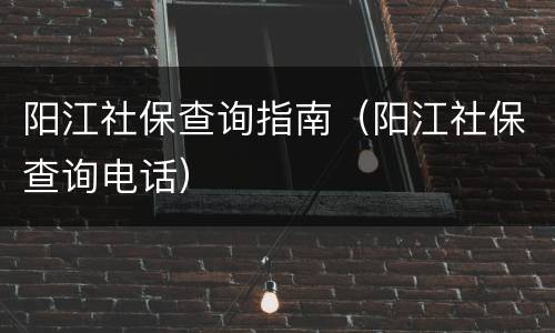 阳江社保查询指南（阳江社保查询电话）