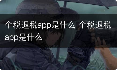 个税退税app是什么 个税退税app是什么