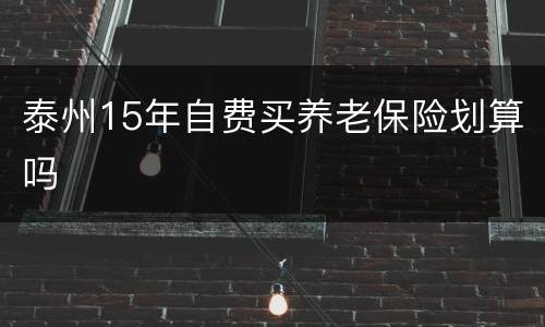 泰州15年自费买养老保险划算吗