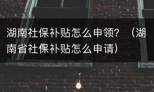 湖南社保补贴怎么申领？（湖南省社保补贴怎么申请）