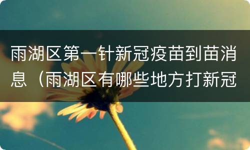 雨湖区第一针新冠疫苗到苗消息（雨湖区有哪些地方打新冠疫苗）