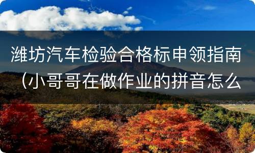 潍坊汽车检验合格标申领指南（小哥哥在做作业的拼音怎么写）