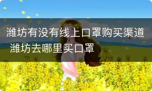 潍坊有没有线上口罩购买渠道 潍坊去哪里买口罩