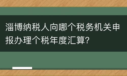 淄博纳税人向哪个税务机关申报办理个税年度汇算？