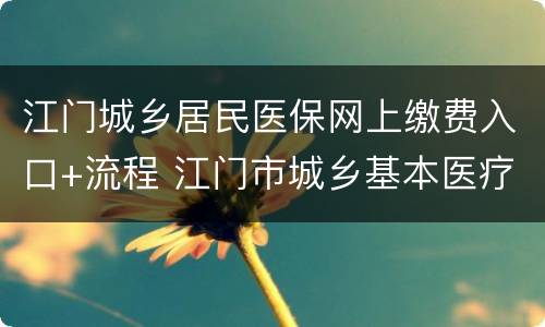 江门城乡居民医保网上缴费入口+流程 江门市城乡基本医疗保险