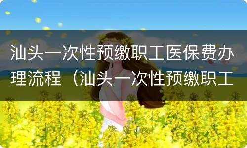 汕头一次性预缴职工医保费办理流程（汕头一次性预缴职工医保费办理流程图片）