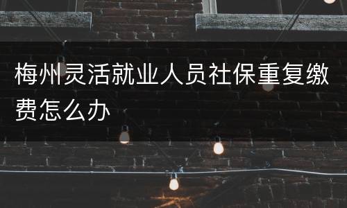 梅州灵活就业人员社保重复缴费怎么办