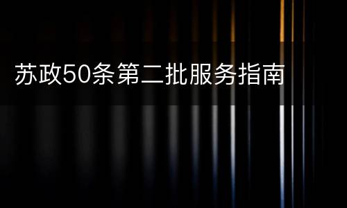 苏政50条第二批服务指南