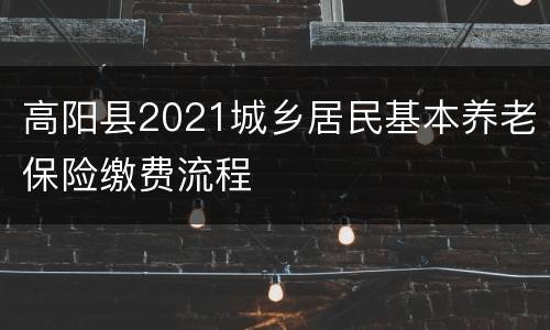高阳县2021城乡居民基本养老保险缴费流程