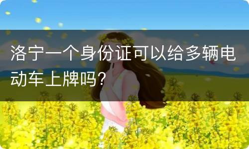 洛宁一个身份证可以给多辆电动车上牌吗?