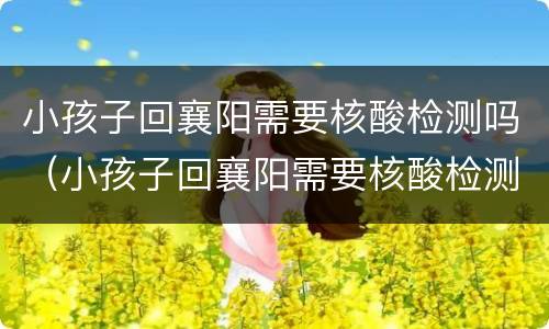 小孩子回襄阳需要核酸检测吗（小孩子回襄阳需要核酸检测吗今天）