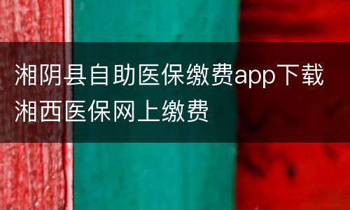 湘阴县自助医保缴费app下载 湘西医保网上缴费