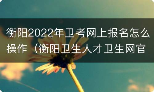 衡阳2022年卫考网上报名怎么操作（衡阳卫生人才卫生网官网）