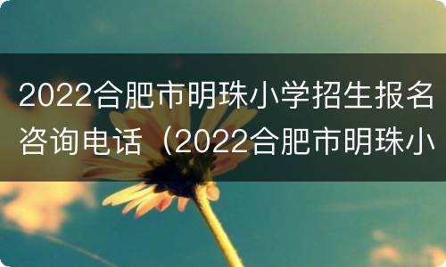 2022合肥市明珠小学招生报名咨询电话（2022合肥市明珠小学招生报名咨询电话是多少）