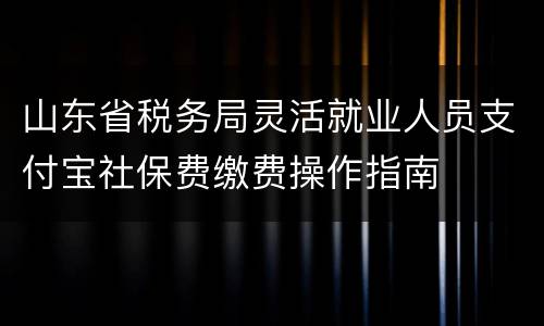 山东省税务局灵活就业人员支付宝社保费缴费操作指南