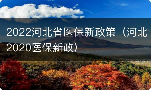 2022河北省医保新政策（河北2020医保新政）