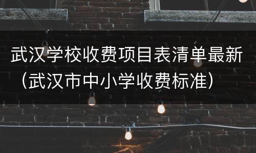 武汉学校收费项目表清单最新（武汉市中小学收费标准）