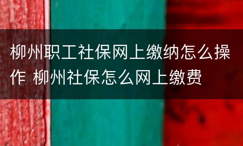 柳州职工社保网上缴纳怎么操作 柳州社保怎么网上缴费