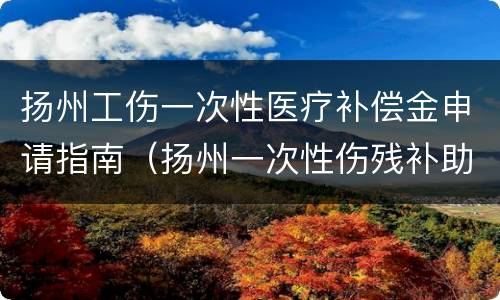 扬州工伤一次性医疗补偿金申请指南（扬州一次性伤残补助金）