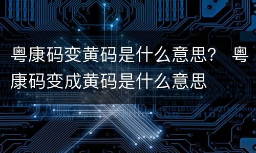 粤康码变黄码是什么意思？ 粤康码变成黄码是什么意思