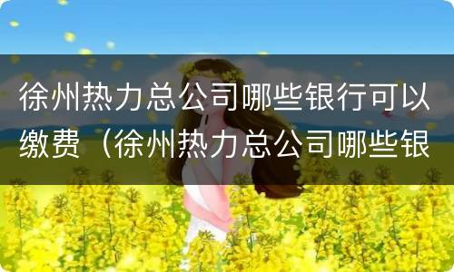 徐州热力总公司哪些银行可以缴费（徐州热力总公司哪些银行可以缴费的）