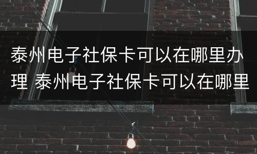 泰州电子社保卡可以在哪里办理 泰州电子社保卡可以在哪里办理业务