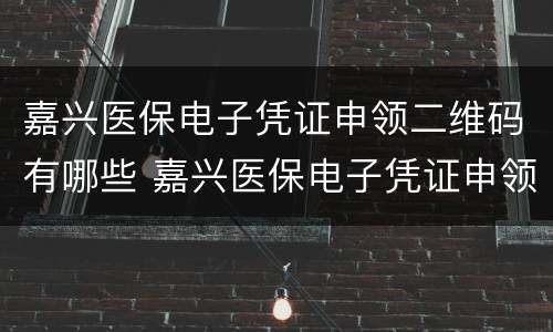 嘉兴医保电子凭证申领二维码有哪些 嘉兴医保电子凭证申领二维码有哪些要求