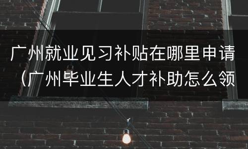 广州就业见习补贴在哪里申请（广州毕业生人才补助怎么领）