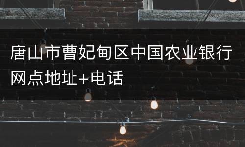 唐山市曹妃甸区中国农业银行网点地址+电话