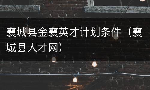 襄城县金襄英才计划条件（襄城县人才网）