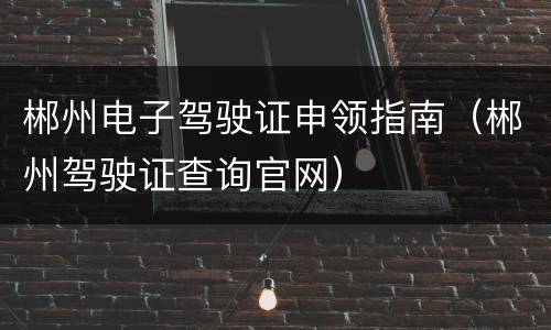 郴州电子驾驶证申领指南（郴州驾驶证查询官网）