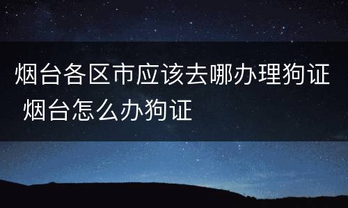 烟台各区市应该去哪办理狗证 烟台怎么办狗证