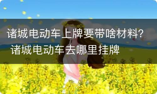 诸城电动车上牌要带啥材料？ 诸城电动车去哪里挂牌