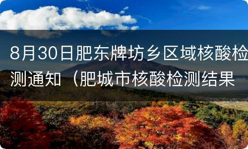 8月30日肥东牌坊乡区域核酸检测通知（肥城市核酸检测结果查询）